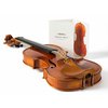 1_115CA_Violine_totale_web.jpg