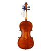 CG-123CT_Violine_back_photoshop.jpg