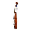 CG-123CT_Violine_side.jpg
