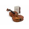 1_136CA_Violine_totale_web.jpg