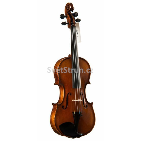 98AD-1-violine.jpg