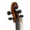 98AD-7-violine.jpg